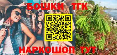 индика Кулебаки