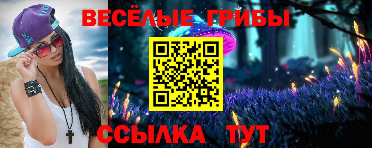 Галлюциногенные грибы Psilocybine cubensis  Вход с VPN  Шали 