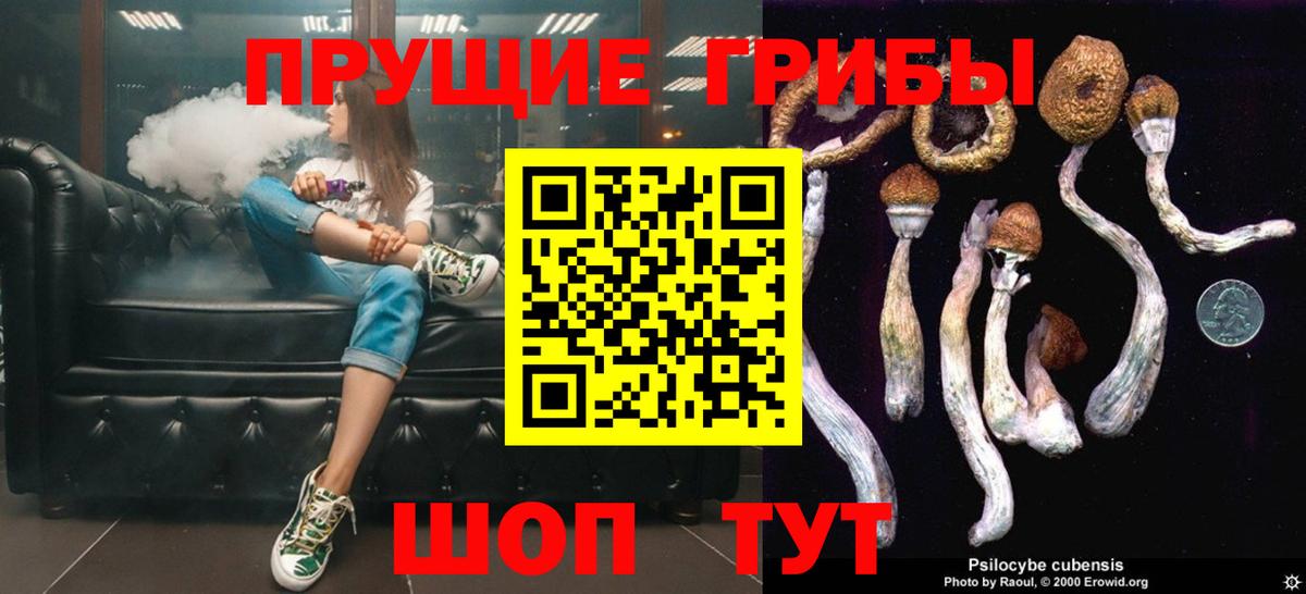 Псилоцибиновые грибы Psilocybe Шали